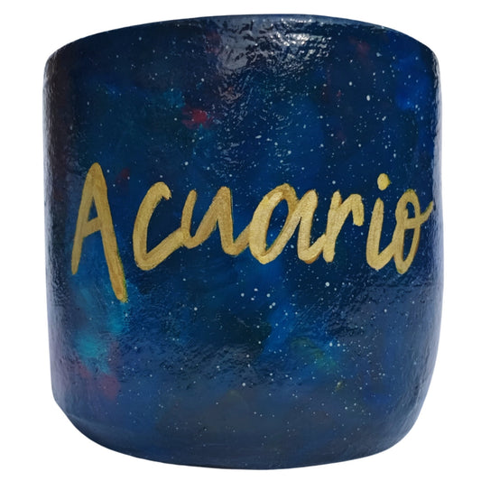 ACUARIO ZODIACO - MACETERO