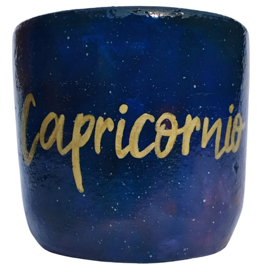 CAPRICORNIO ZODIACO - MACETERO