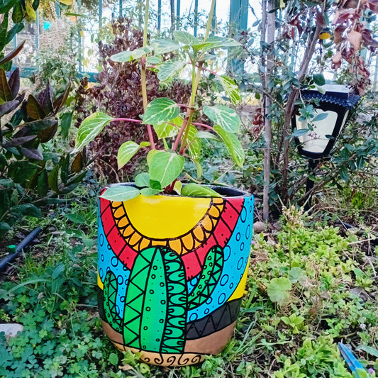 CACTUS - MACETERO