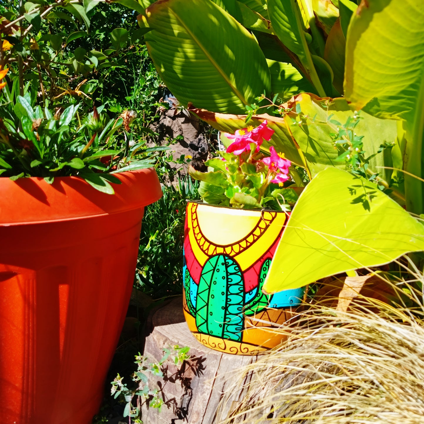 CACTUS - MACETERO