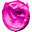 Color & Vida logo